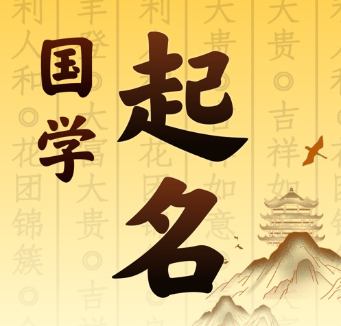 恩阳国学起名 人工起名一对一